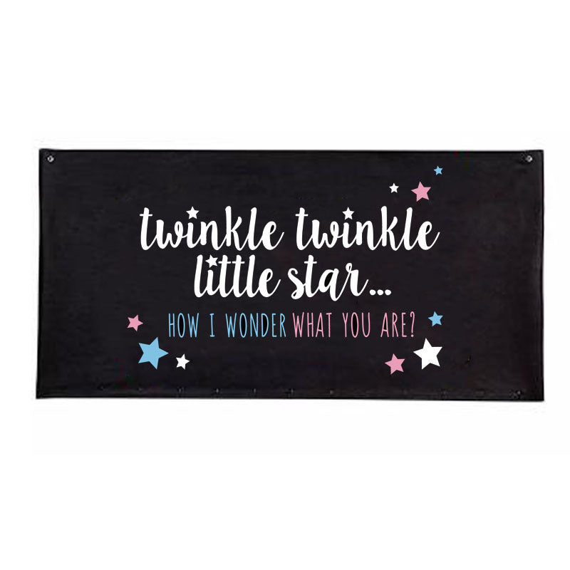 Gender Reveal Balloon Bags - Boy or Girl - Baby Shower Party Supplies