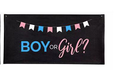 Gender Reveal Balloon Bags - Boy or Girl - Baby Shower Party Supplies